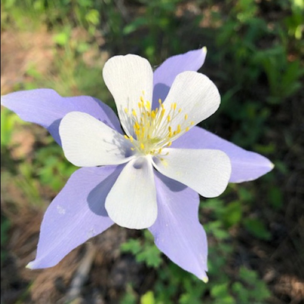 Meet your Posher, J.H.